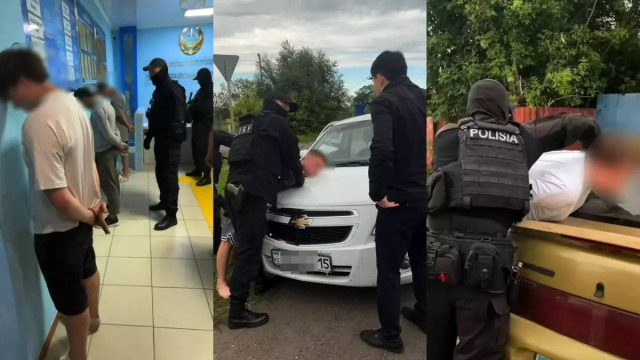 СҚО-да интернет-алаяқтарға көмектескен бес адам сотталды