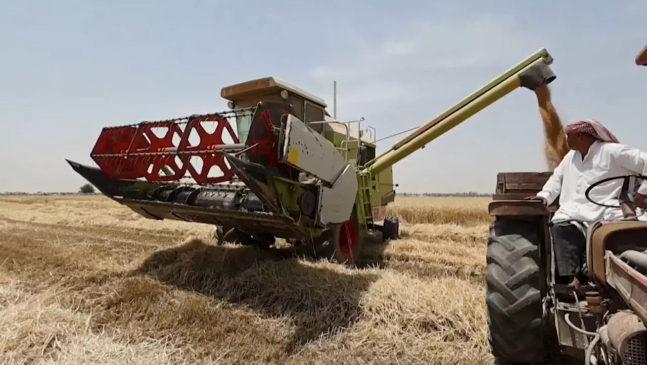 БҰҰ: әлемде ауыл шаруашылығы өнімдерінің 40 пайызы жойылады