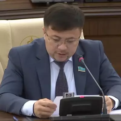 Пересмотреть контроль за иностранным финансированием предложили в Казахстане
