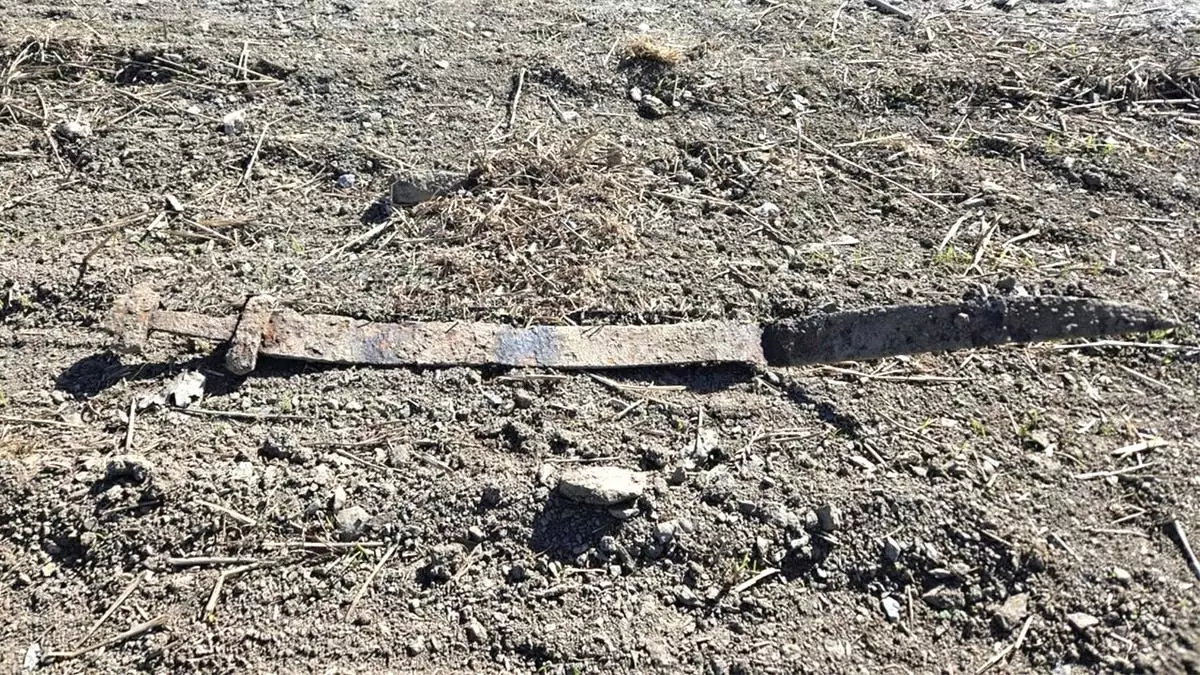 Древний меч викингов обнаружен торчащим из земли спустя 1300 лет.