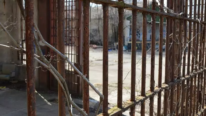 Осужденные создали ОПГ в колонии и получили новые сроки в Алматинской области