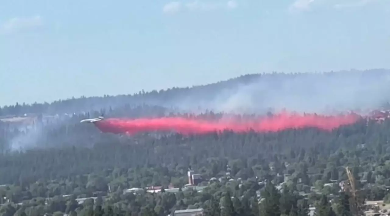 АҚШ-та орман өртінен 1200 адам эвакуацияланды
