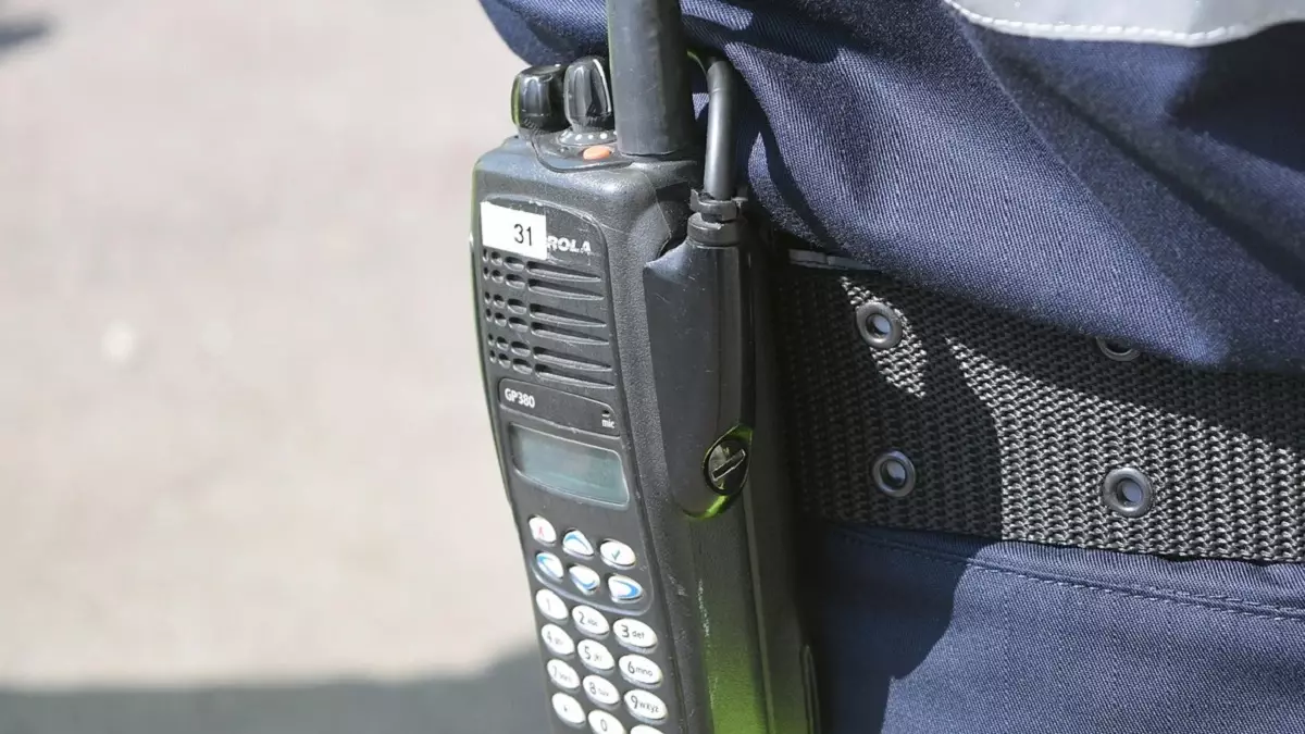 Полицейские помогли паломникам из Узбекистана, сбившимся с пути в Туркестанской области