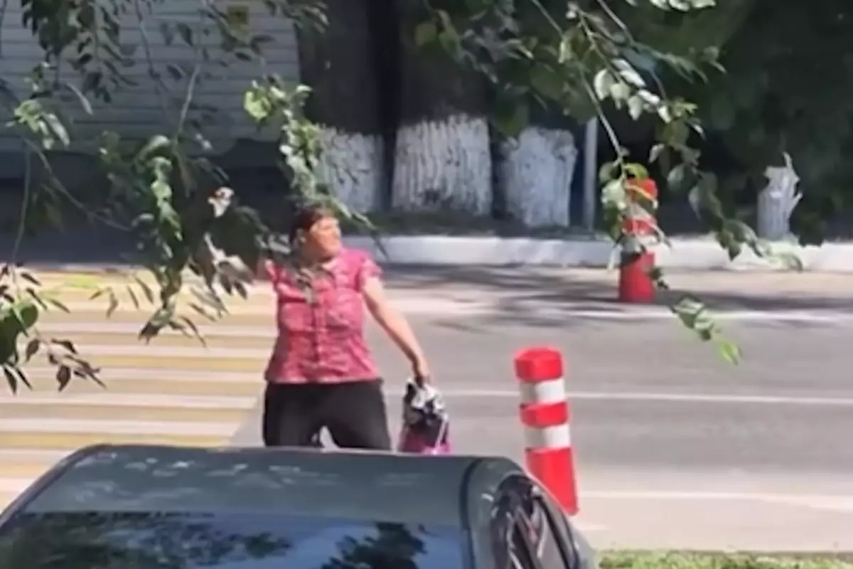 В Алматы женщина бросила камень в полицейскую машину и попыталась скрыться
