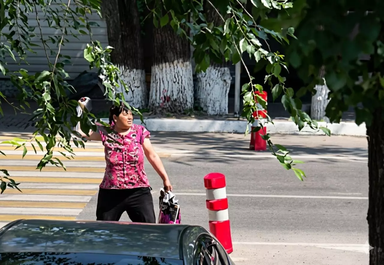 Алматыда әйел адам полиция көлігіне тас лақтырды