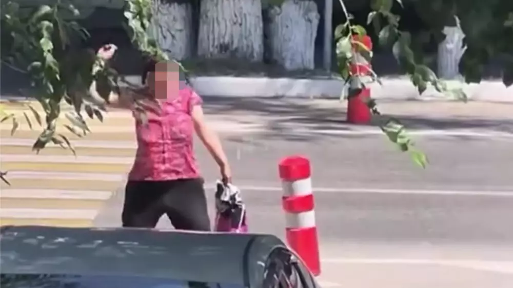 Алматыда полицияның қызметтік көлігіне тас лақтырған әйел видеоға түсіп қалды
