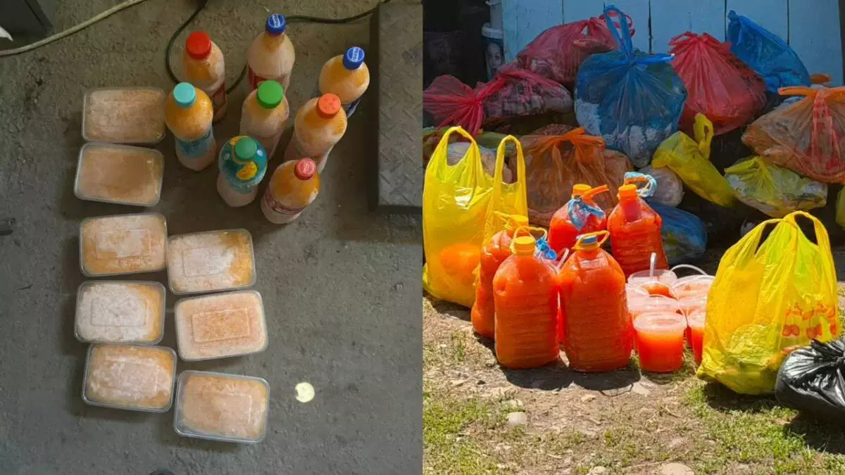 В ВКО накрыли банду браконьеров с 700 кг редкой рыбы и сотнями литров икры