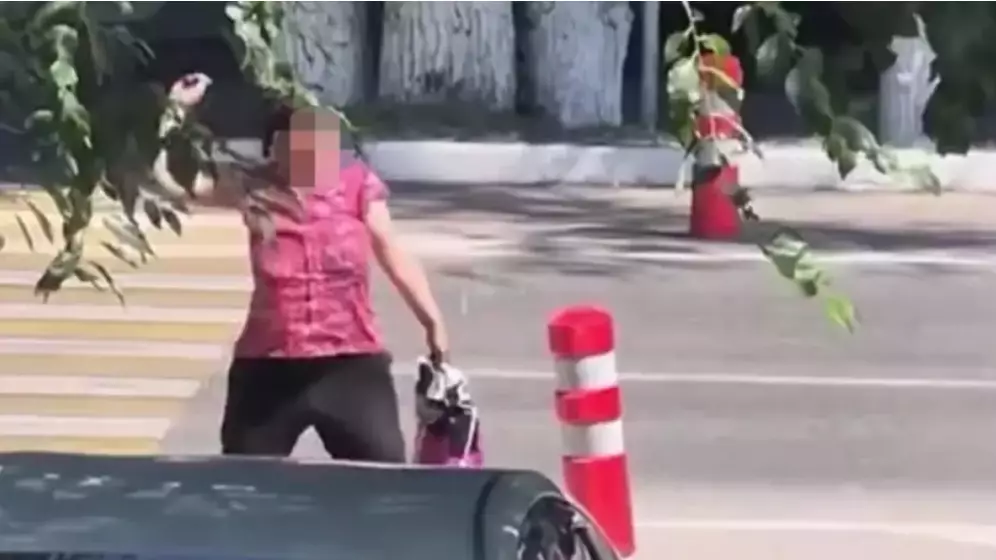 Алматы полициясы қызметтік көлікке тас лақтырған әйелді ұсталды