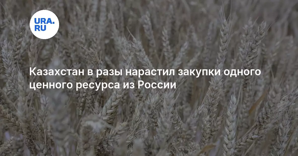 Казахстан в разы нарастил закупки одного ценного ресурса из России.