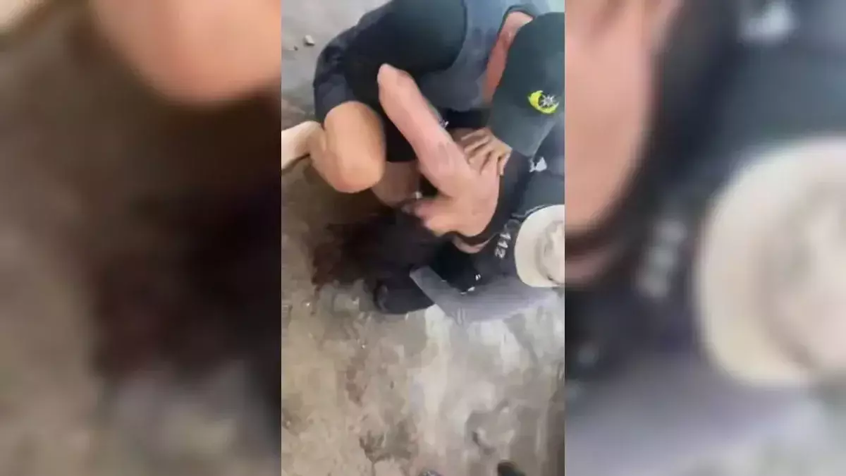 Заплыла за буйки и начала тонуть: девушку спасли на Капчагае