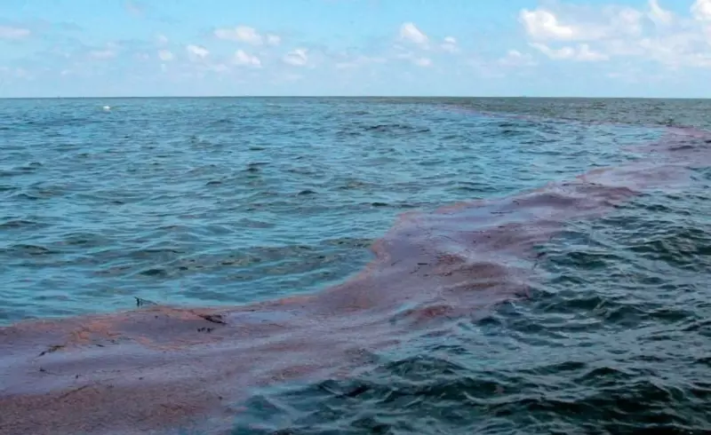 Нефтяное пятно обнаружили в Каспийском море у берегов Азербайджана