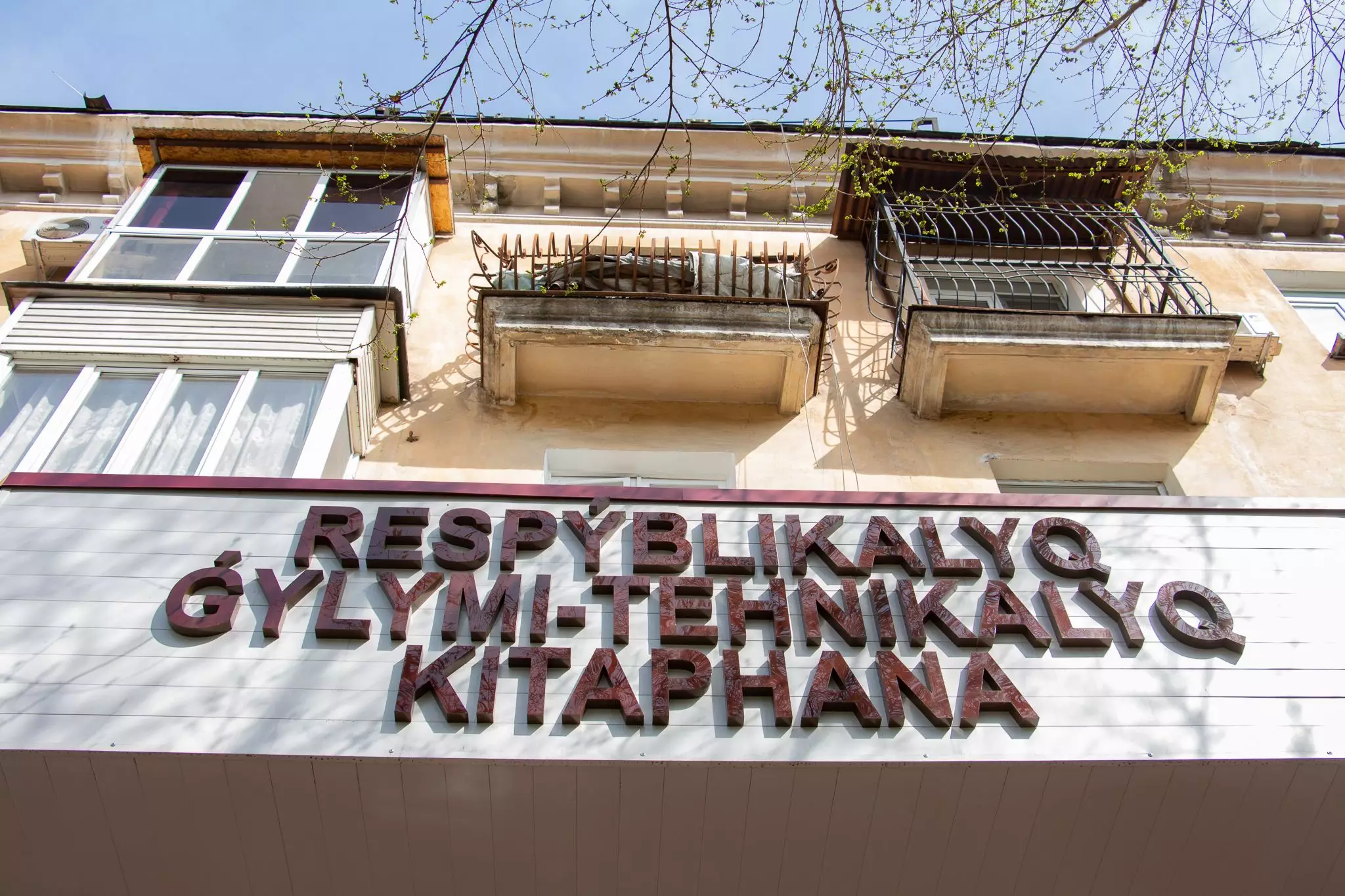 Утвержден ли новый казахский алфавит на латинице? В Миннауки сделали заявление