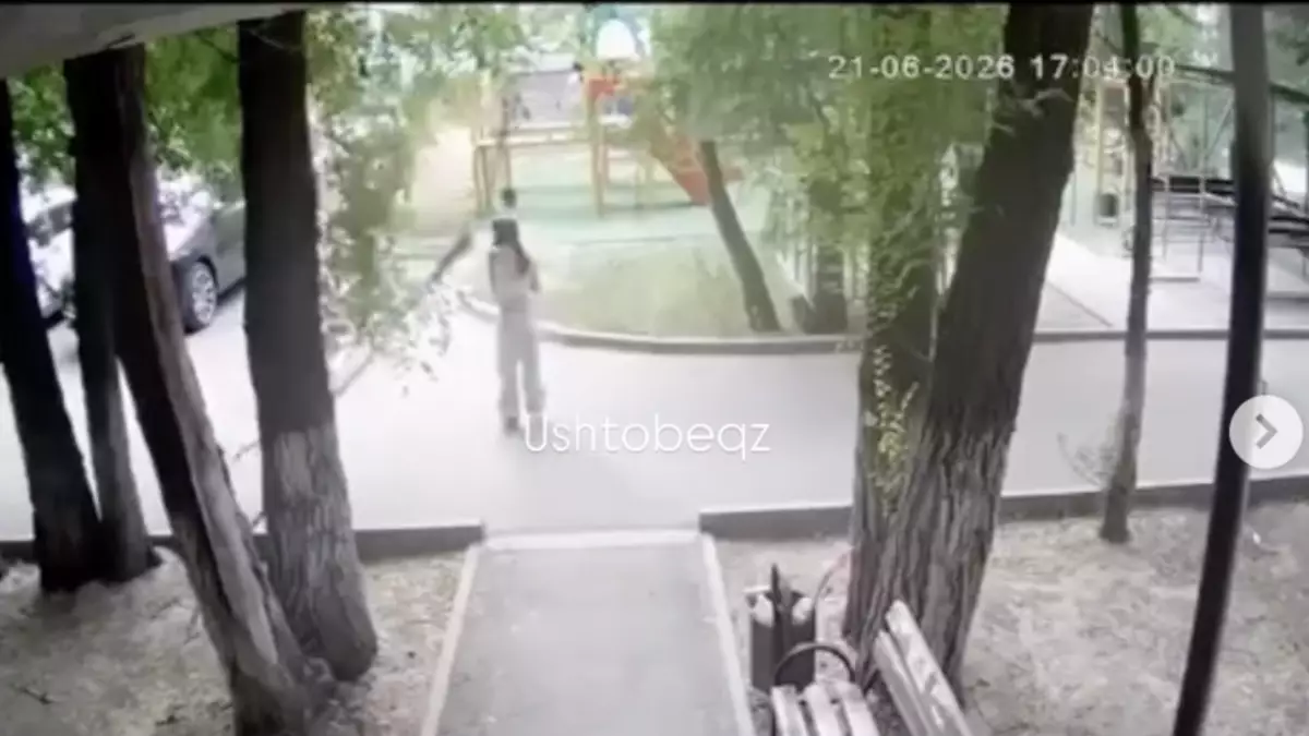 Үштөбеде көпқабатты үй ауласында ағаш бұтағы құлап, бойжеткен ауруханаға түсті