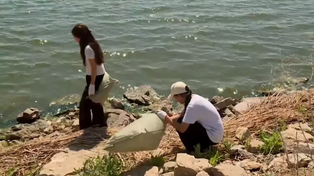Волонтёры очистили побережье Саранского водохранилища