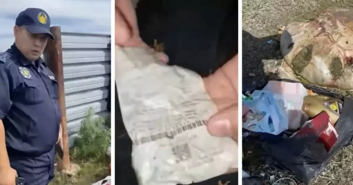  Аким полез в мусорные пакеты за чеками, чтобы выявить нарушителей 
