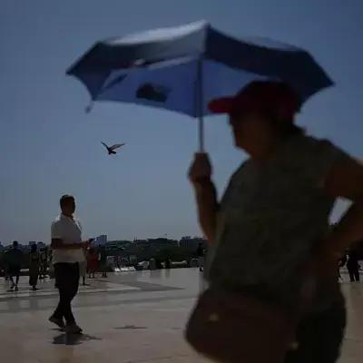 Выше 40°C: в Европе бьют тревогу из-за экстремальной жары