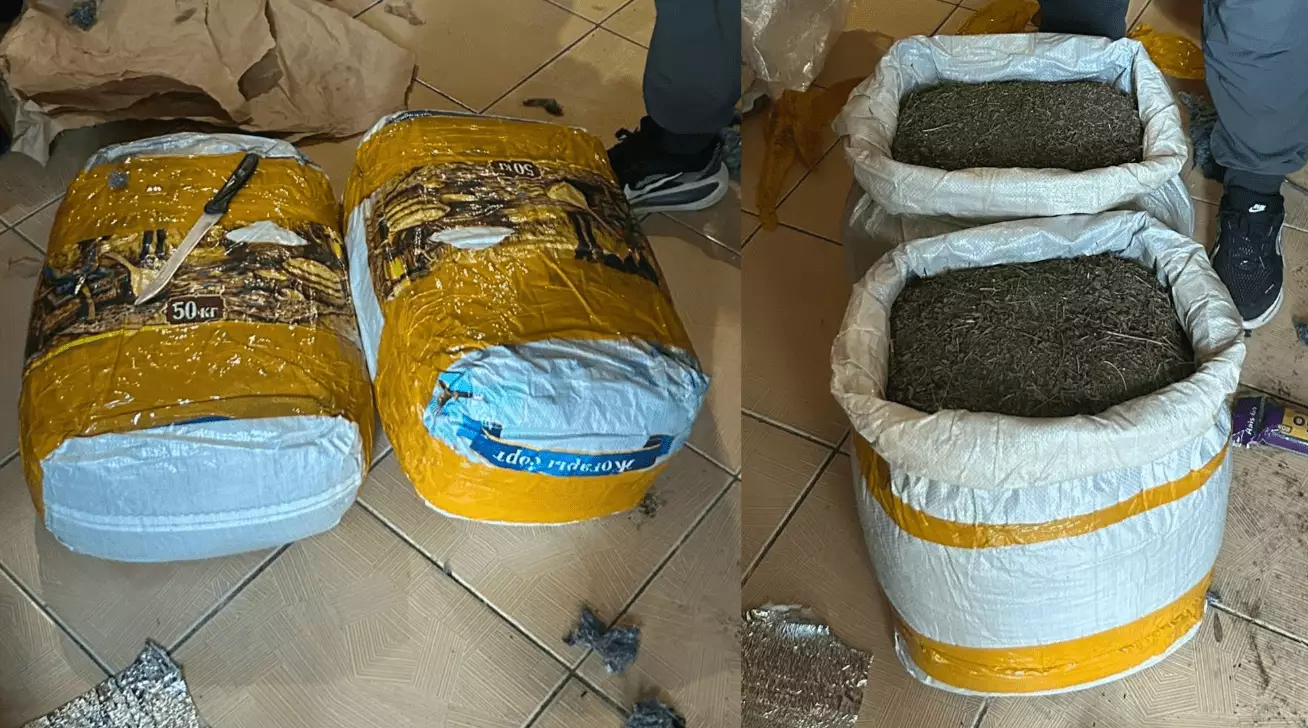 Около 20 кг марихуаны нашли на рынке в Актау