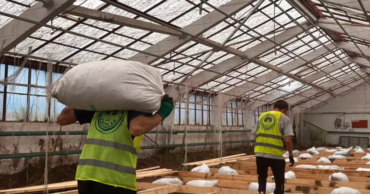  Қостанай облысында 100 түрлі өсімдік өсіретін «Agro Eco Hub» экожобасы іске қосылмақ 