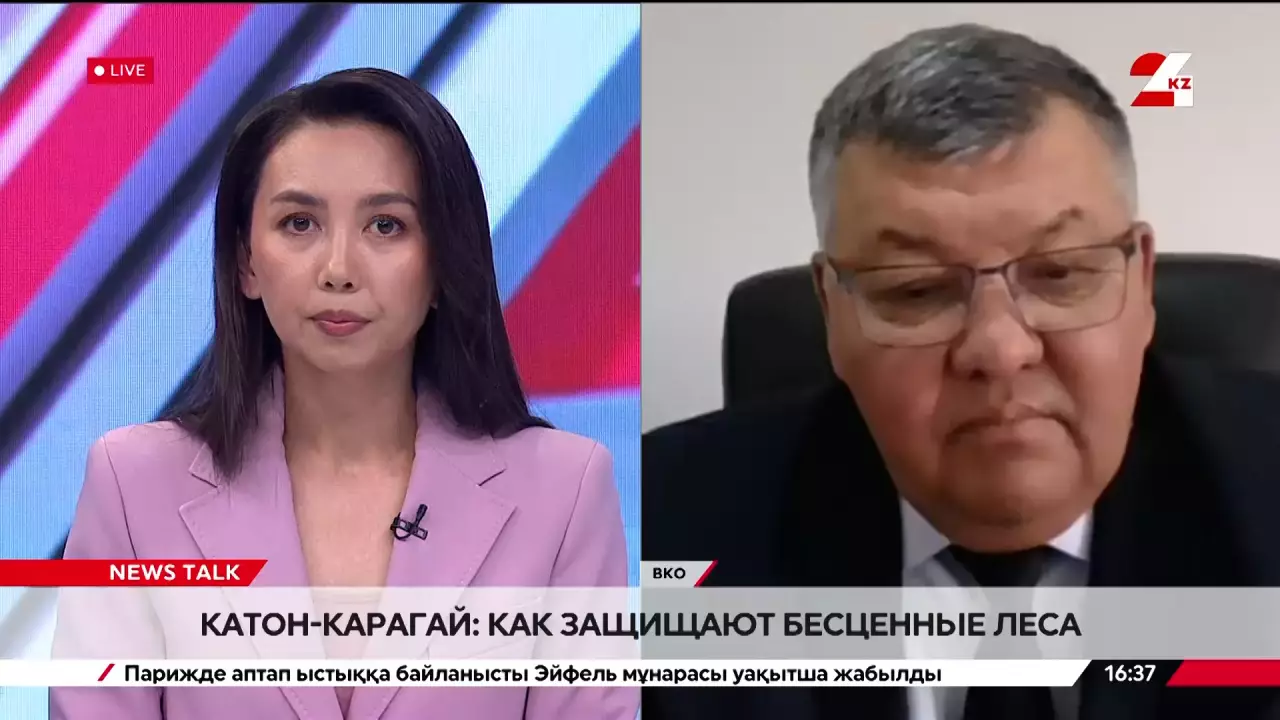 Кактон-Карагай: как защищают бесценные леса ВКО. Жанболат Тыныбеков