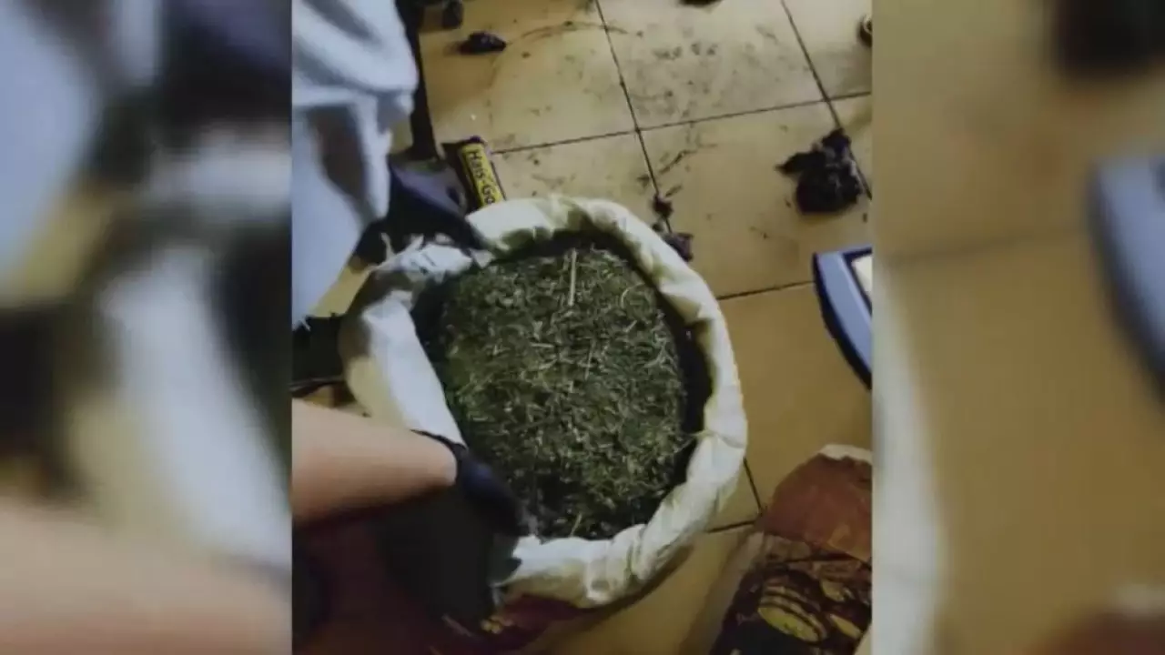 Около 20 кг марихуаны обнаружили на рынке Актау
