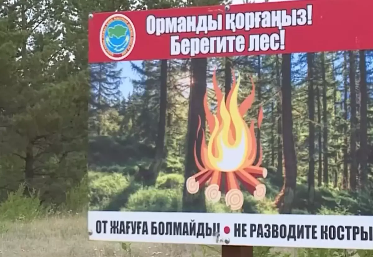 Жителям Карагандинской области запретили ходить в лес
