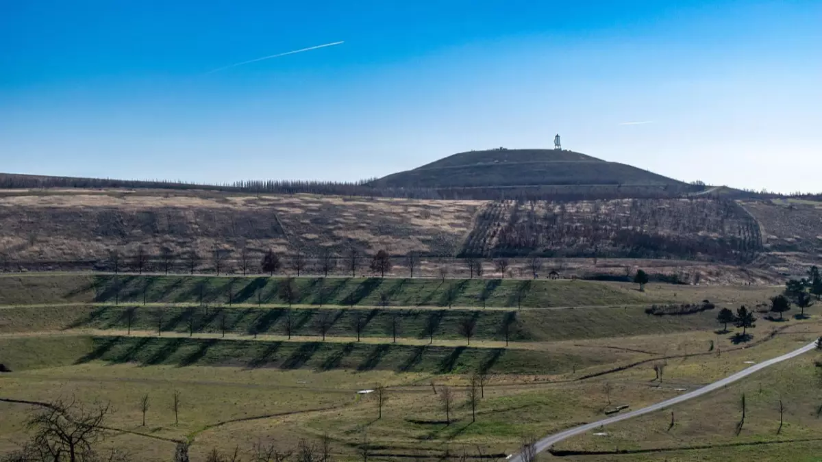  Атырауда мемлекетке 700 млн теңгенің активтері қайтарылды 