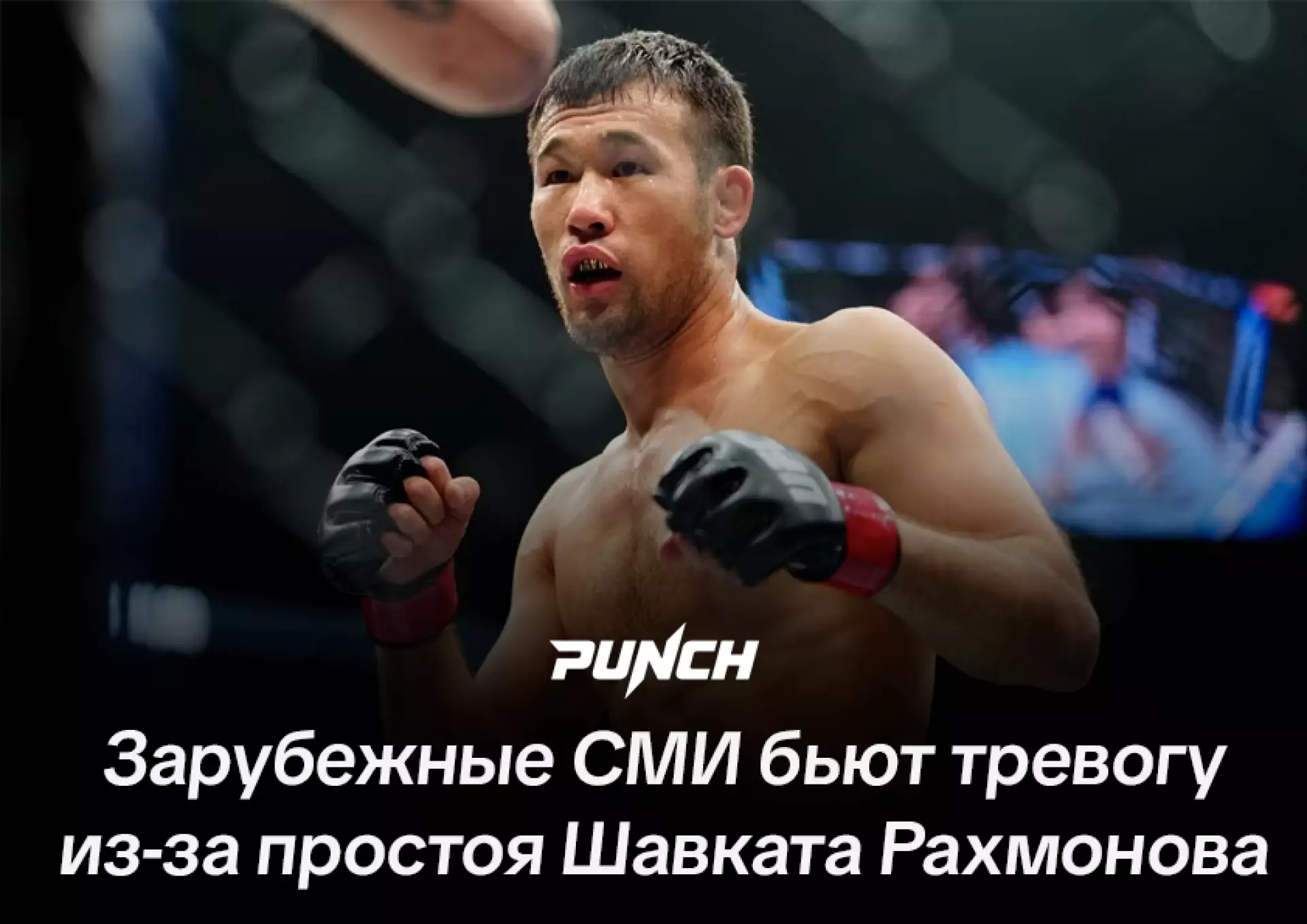 Зарубежные СМИ бьют тревогу из-за простоя Шавката Рахмонова