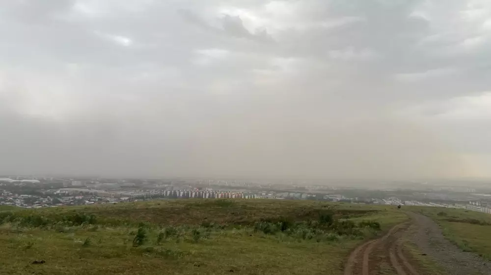 В Алматы поднялся сильный ветер