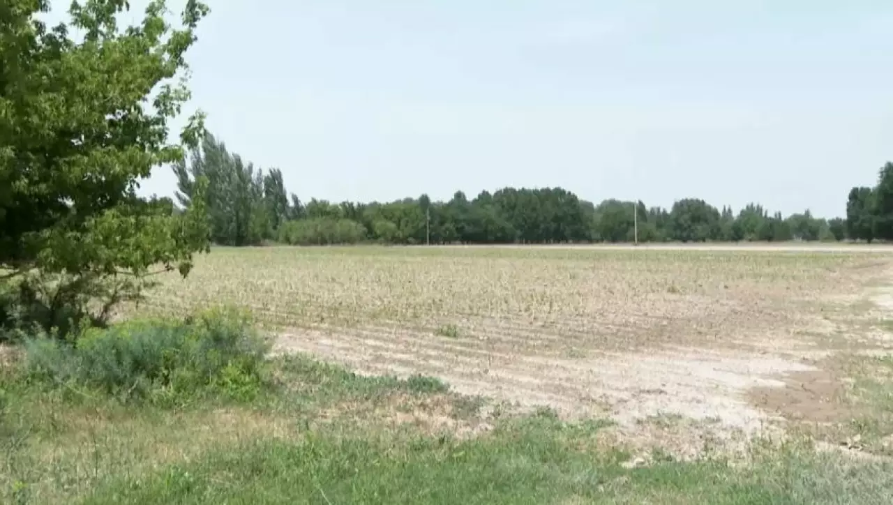 Елімізде 2,7 млн га жер деградацияға ұшыраған