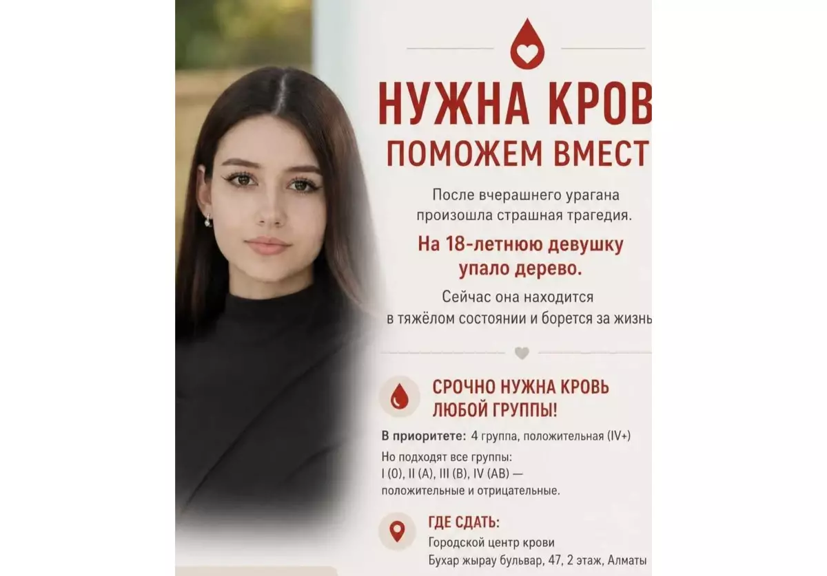 Алматыда қатты дауылдан 18 жастағы қыздың үстіне ағаш құлап, ауыр халде жансақтау бөліміне түсті