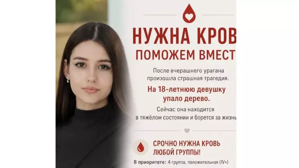 Алматыда үстіне ағаш құлаған бойжеткеннің жағдайы ауыр