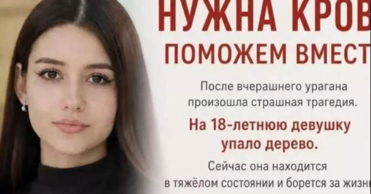  Үстіне ағаш құлаған 18 жасар бойжеткеннің жағдайы ауыр екені белгілі болды 