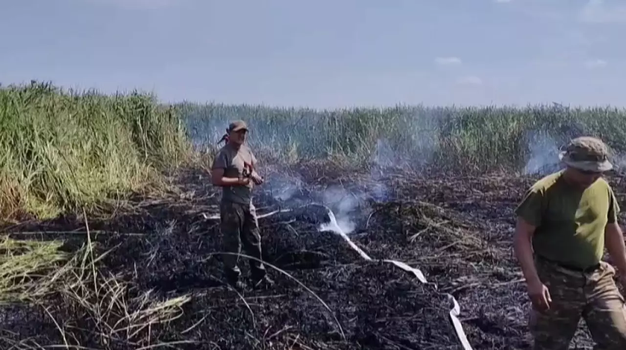 Сухостой горит в области Абай