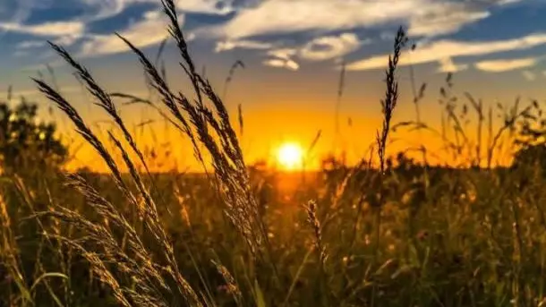  Шіліңгір шілде: алдағы күндері ауа райы қандай болады? 