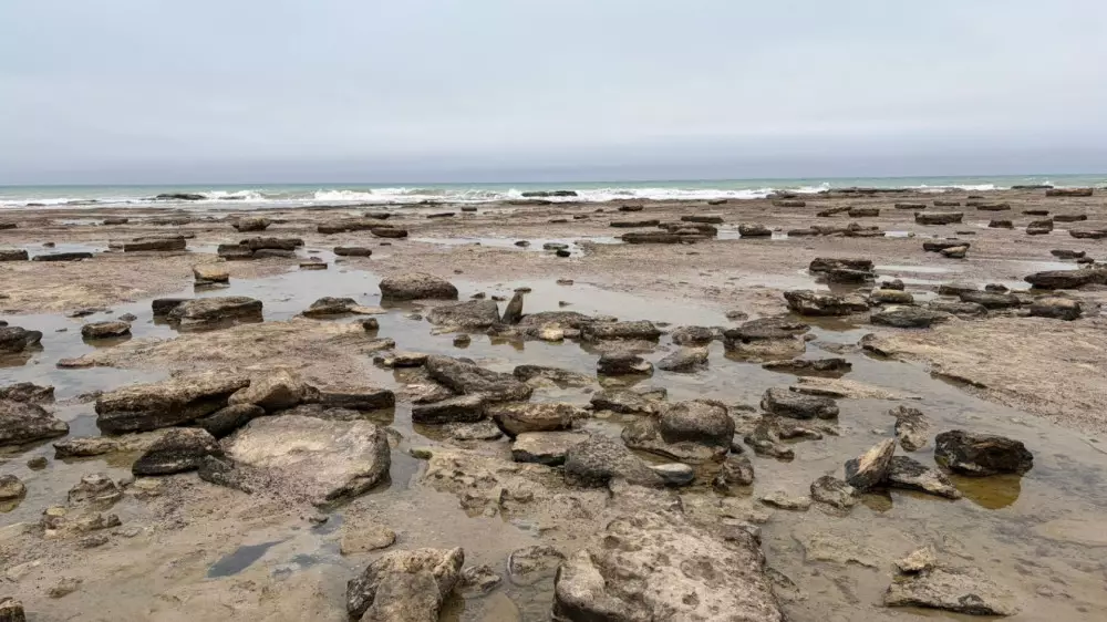 Процесс обмеления Каспийского моря назвали необратимым