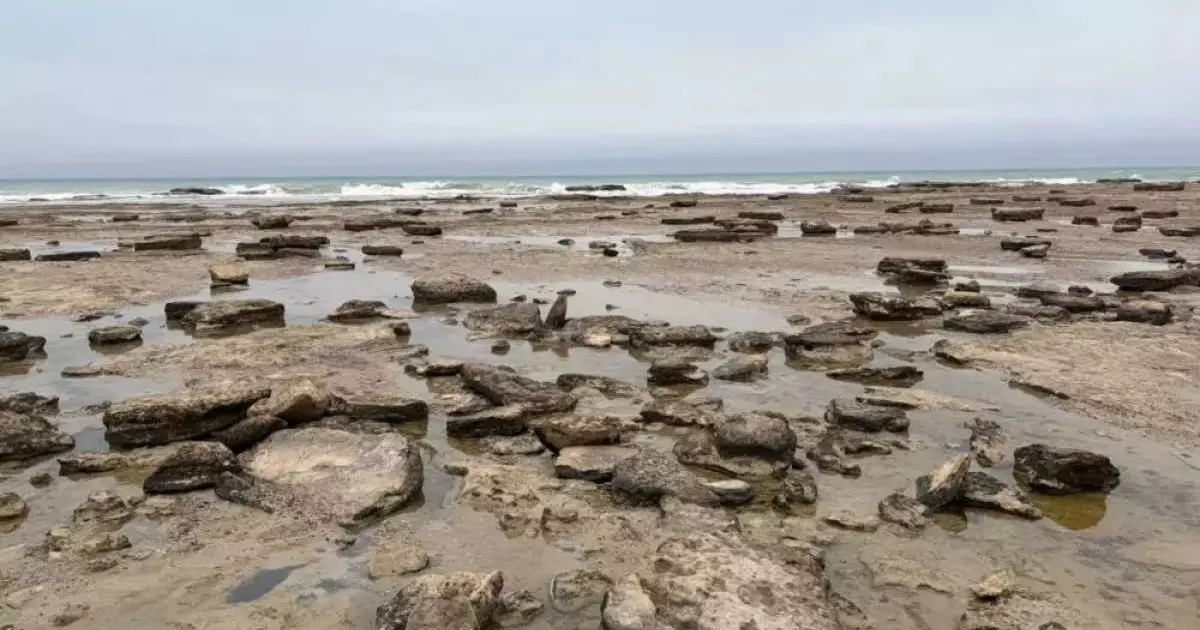  Процесс обмеления Каспийского моря назвали необратимым 
