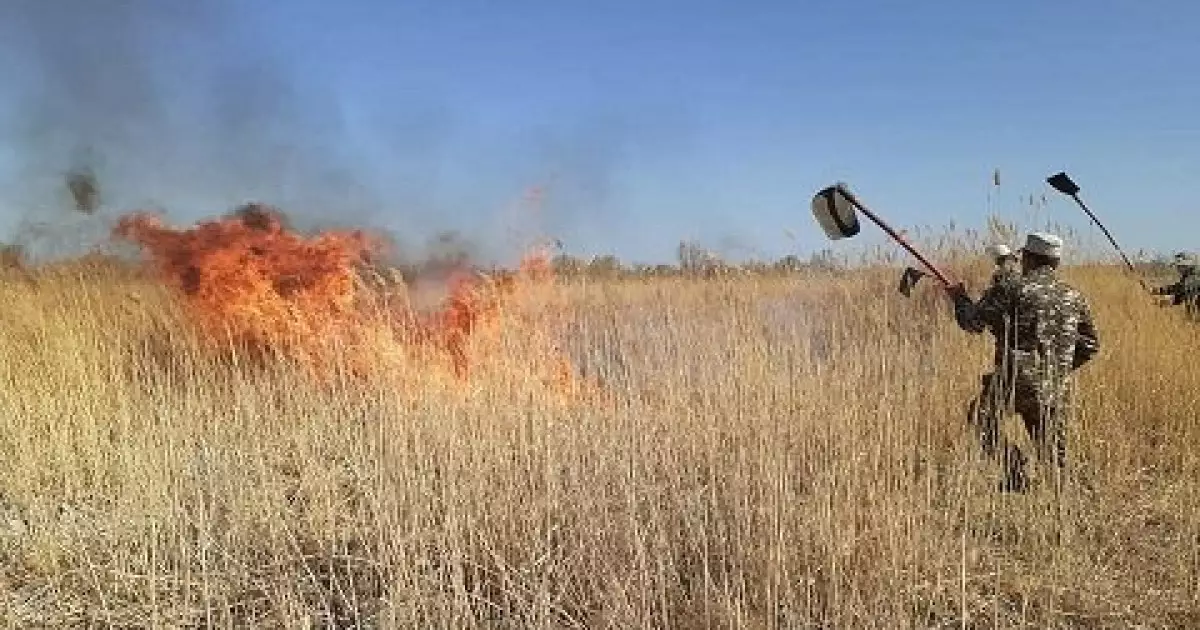   Тосын апатқа тосқауыл  керек   