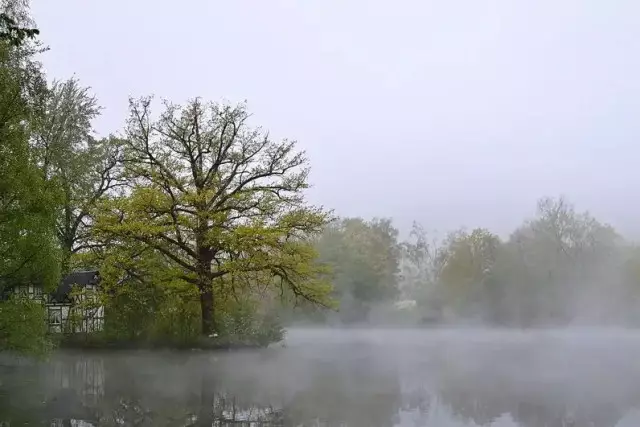 Бүгін еліміздің бірқатар өңірінде жел күшейіп, тұман түседі
