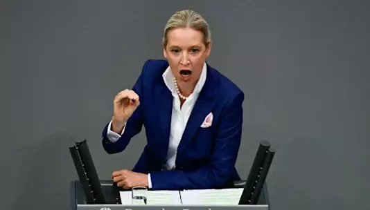 Массовые протесты в Германии во время съезда ультраправой партии AfD.