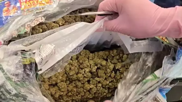В аэропорту Ташкента задержали двух пассажиров с крупной партией наркотиков из Таиланда
