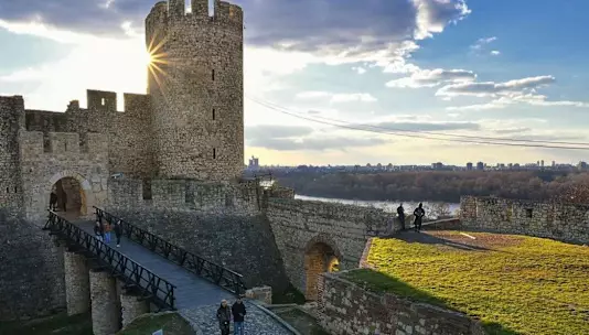 В Сербии обнаруженные кости верблюда раскрыли первого известного в средневековье гибридного верблюда на Балканах.