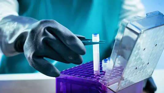 При температуре минус 321 градус по Фаренгейту американский BioVault стремится сохранить клетки и ДНК 2300 видов.
