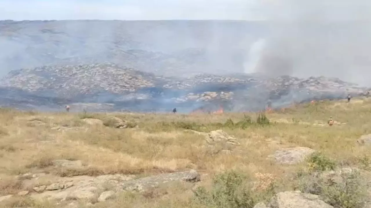 Лесной пожар локализовали в ВКО