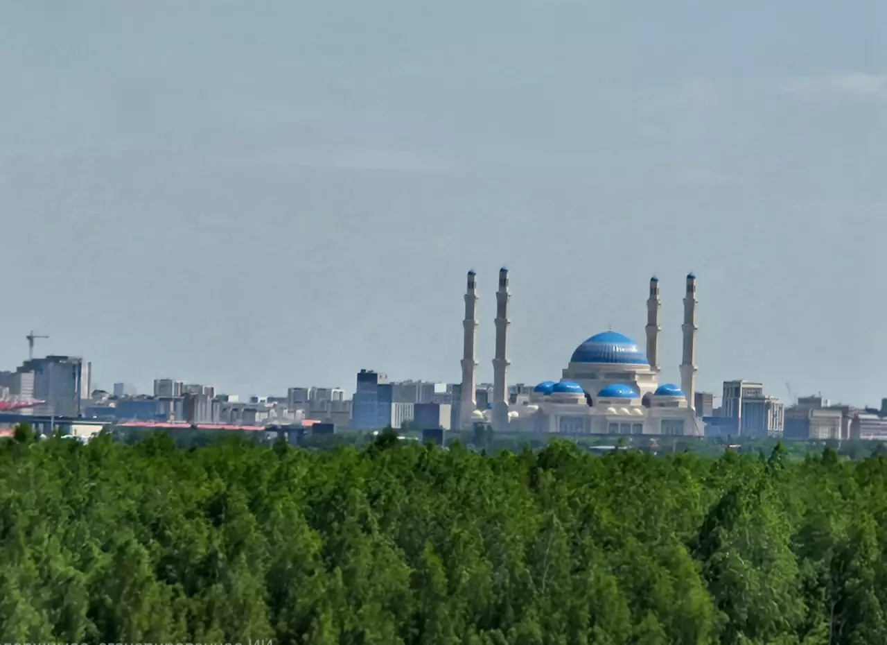 Тақыр даладан орманға дейін: Астана күніне орай бас агроном Ардақ Хасеновпен сұхбат