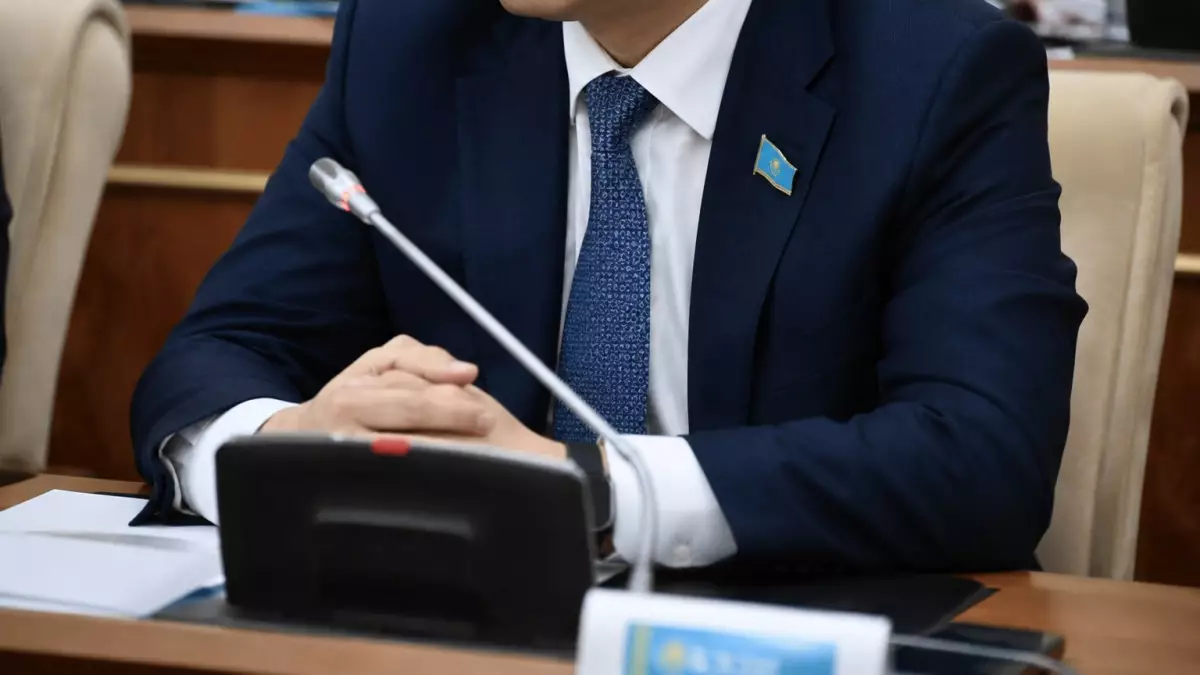  Құрылтай депутаттарын сайлау науқаны қалай өтеді? 