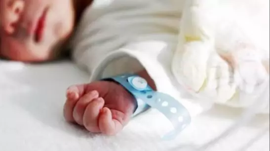  Елорда күнінде Қазақстанда 448 сәби дүниеге келді 