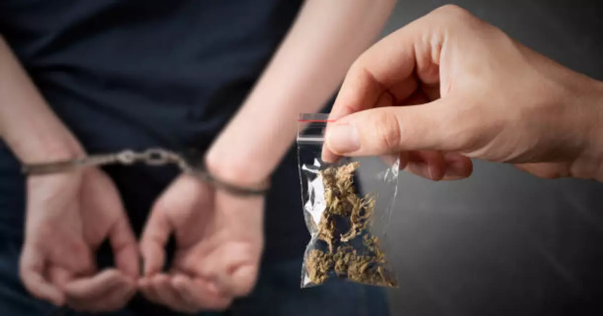   Жамбыл облысында көлігіне марихуана жасырған күдікті ұсталды   