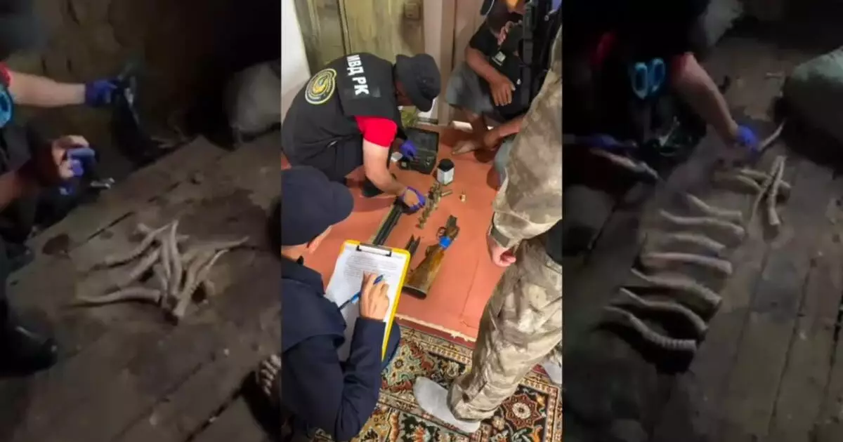  Ақтөбе облысында аңшыдан қару-жарақ, киік еті мен мүйізі тәркіленді 