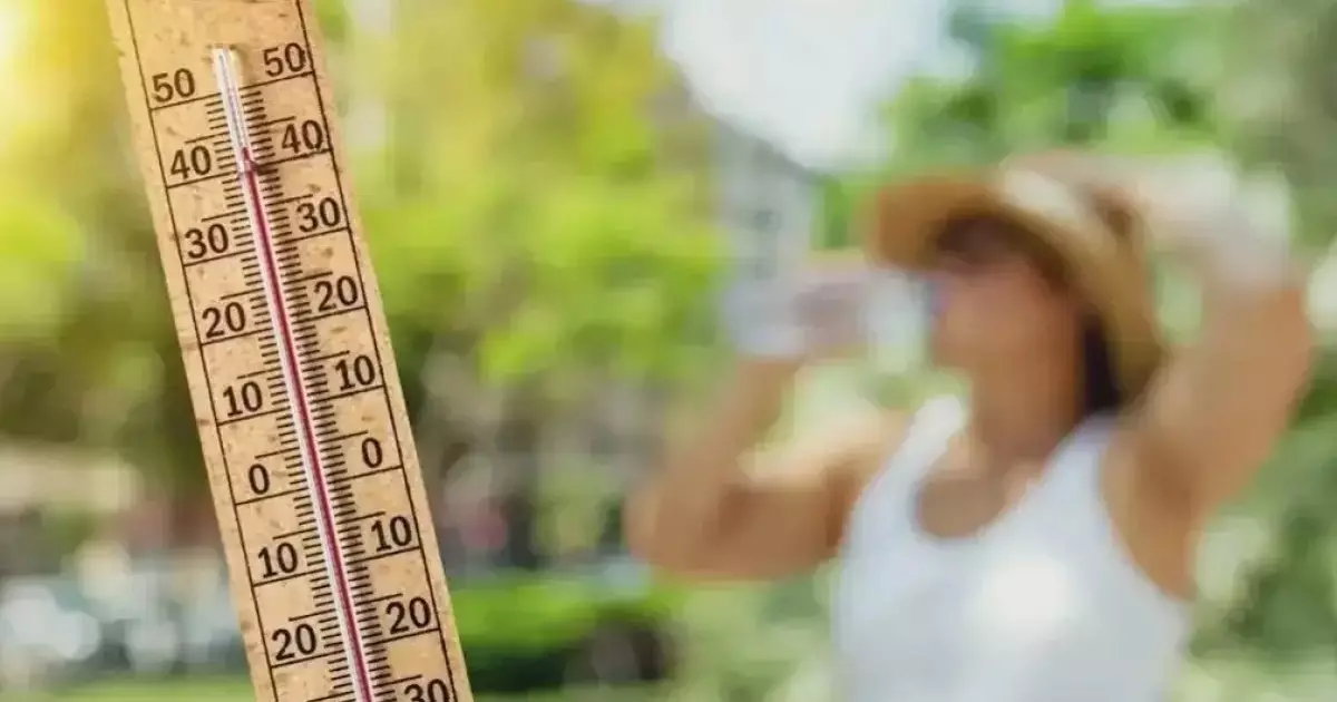  10 шілдеге арналған ауа райы болжамы 