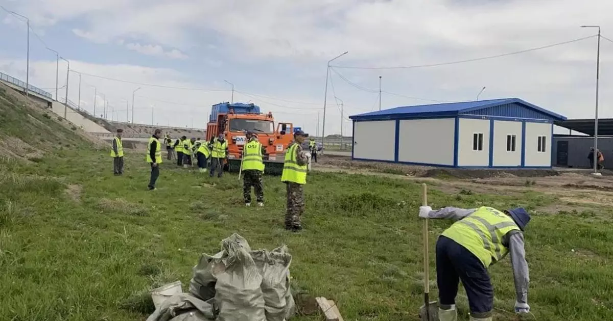  «Таза Қазақстан»: Республикалық автокөлік жолдарын көгалдандыру жұмысы жүріп жатыр 